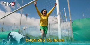 chọn kèo tài ngon 7m và mẹo gia tăng lợi nhuận