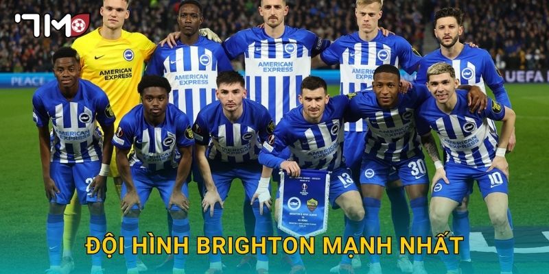 Đội hình Brighton mạnh nhất và phân tích chuyên sâu từ 7m