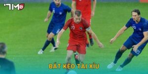 bắt kèo tài xỉu 7m và kinh nghiệm thực chiến hữu ích