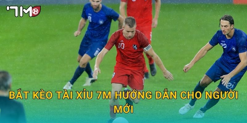 bắt kèo tài xỉu 7m và kinh nghiệm thực chiến hữu ích 2 bắt kèo tài xỉu 7m hướng dẫn cho người mới