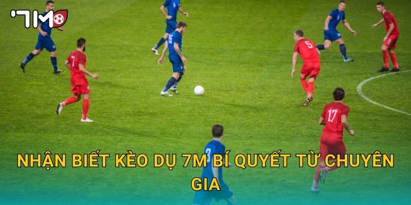 nhận biết kèo dụ 7m và cách phòng tránh thua lỗ 3 Nhận biết kèo dụ 7m bí quyết từ chuyên gia