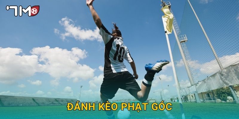 đánh kèo phạt góc 7m và chiến thuật chơi an toàn 16 đánh kèo phạt góc 7m và chiến thuật chơi an toàn